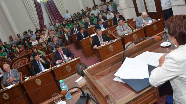 Senado2015PJOrganizacionesSocialesFeministas.jpg