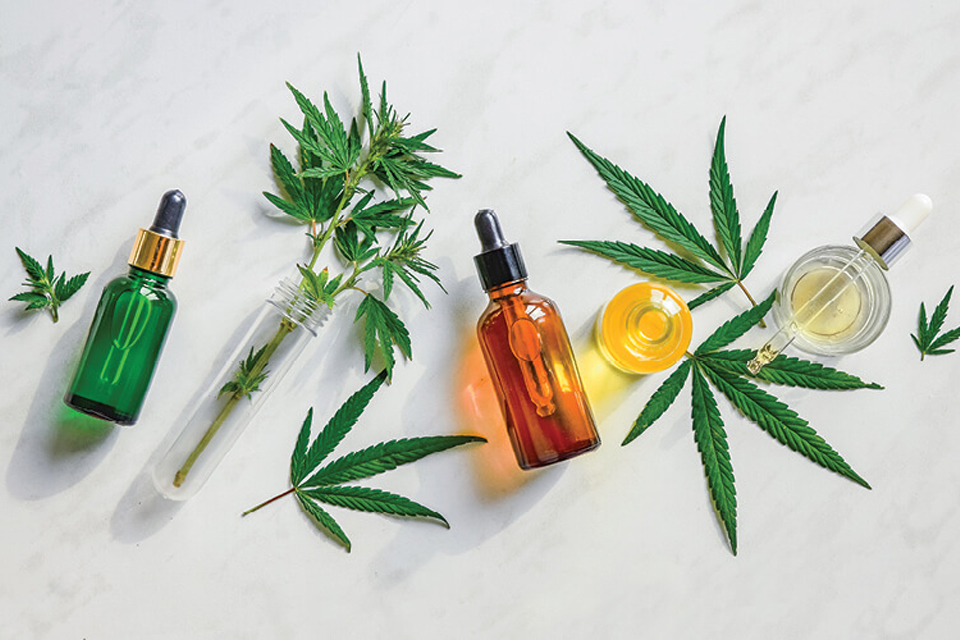 Aprueban el uso de aceite de cannabis en productos de cosmética
