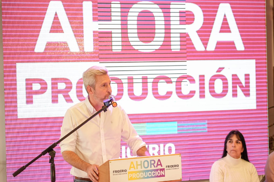 Frigerio también apunta a bajar la tarifa de luz