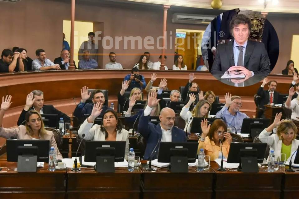 Diputados provinciales del PJ también piden rechazar el DNU de Milei 
