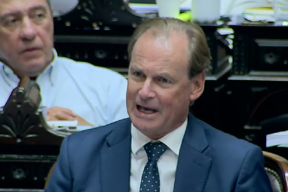 La palabra de Bordet en el debate de la Ley de Mieli