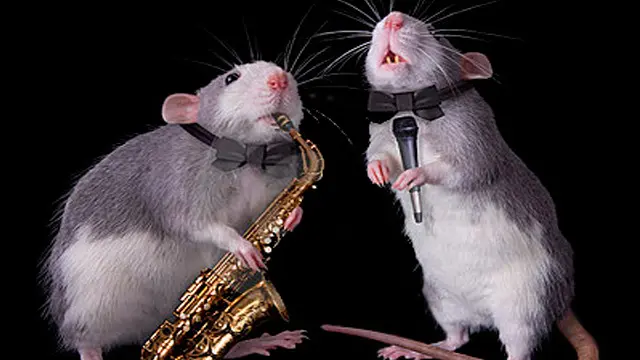 Con “El Dani” estábamos mejor