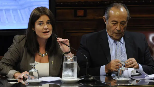 Senadora entrerriana seguirá al frente de comisión de Seguridad