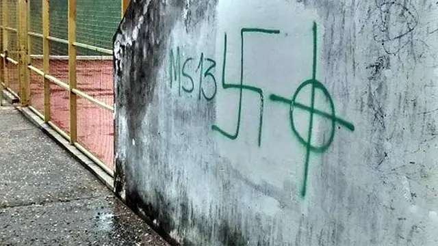 Liberarán a los autores de pintadas nazis en Paraná