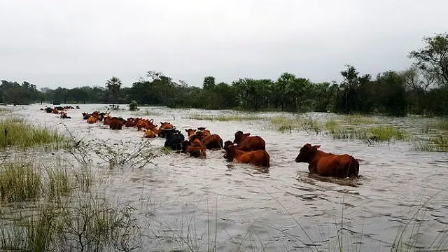 Gobierno asegura que beneficios alcanzan a 1000 productores entrerrianos