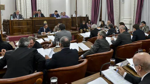 Senadora entrerriana propone seis meses de licencia por la muerte de un hijo