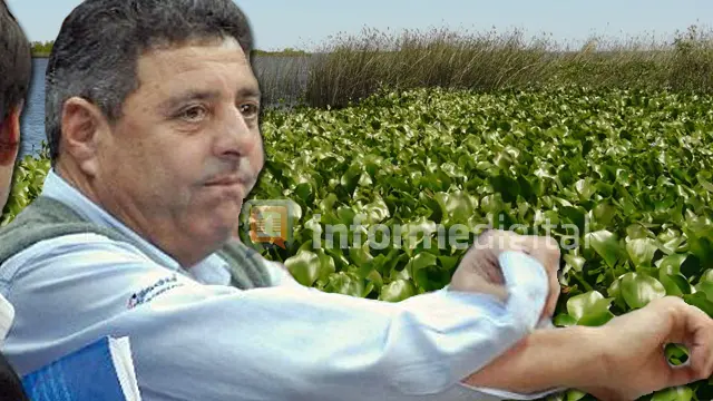 La ley de humedales está trabada en la comisión de De Angeli