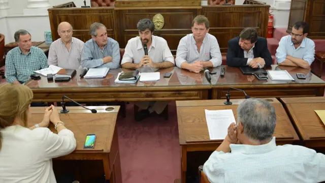 Proyecto maderero: oposición escuchó el plan oficial y pide oír a ambientalistas