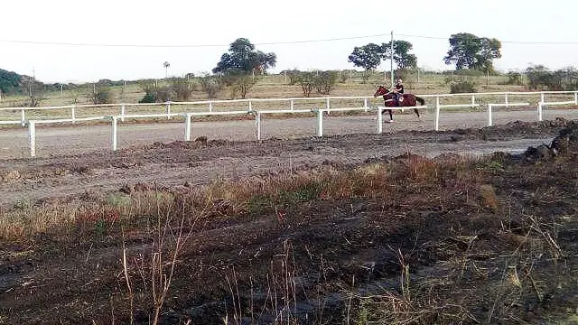 Denuncian a una asociación en el Jockey Club de Paraná