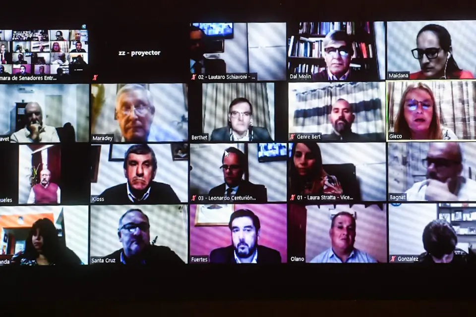 Histórica sesión virtual del Senado