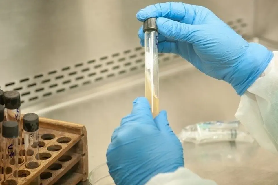 Otro día sin casos positivos en Entre Ríos