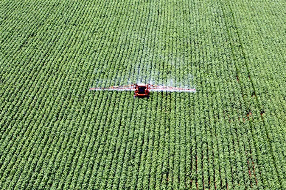 Anularon un fallo que prohibía fumigaciones