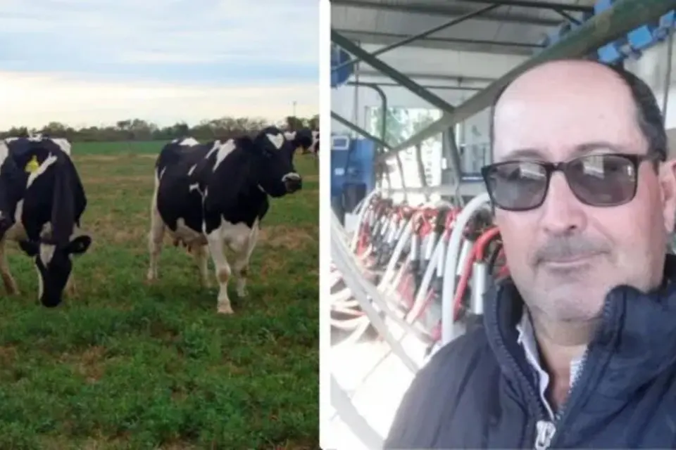 Quieren vender leche sin intermediarios