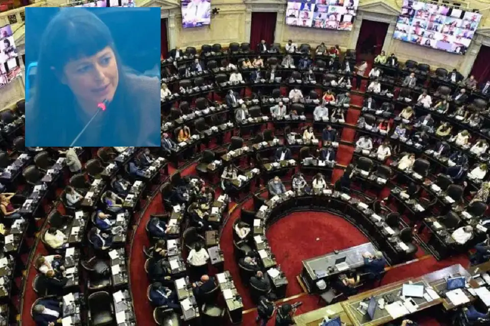 Gaillard cuestionó a la oposición por frenar la Ley de Emergencia Covid