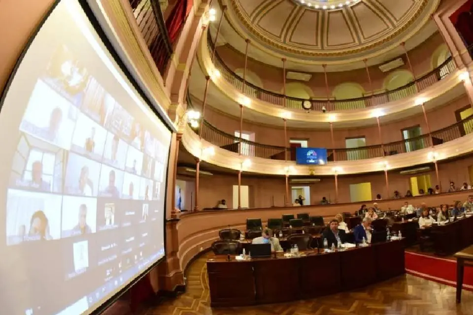 Obtuvo la media sanción en Diputados