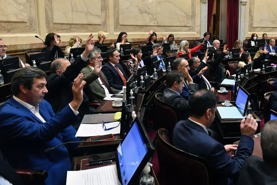 Diputados decidirá si al FMI hay que pagarle con dólares fugados