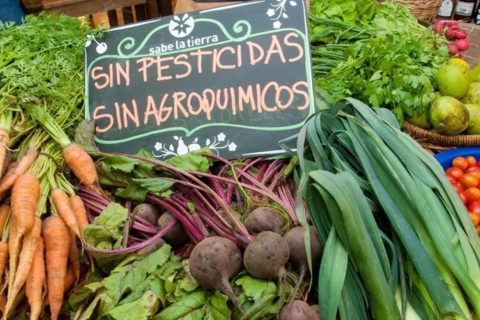 Denuncian por fraude a Piaggio