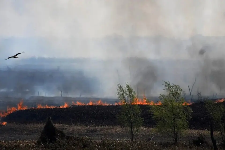 Entre Ríos entregó más pruebas por los incendios