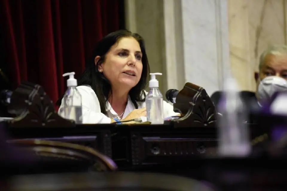 Lena: “Fernández optó por profundizar la grieta”