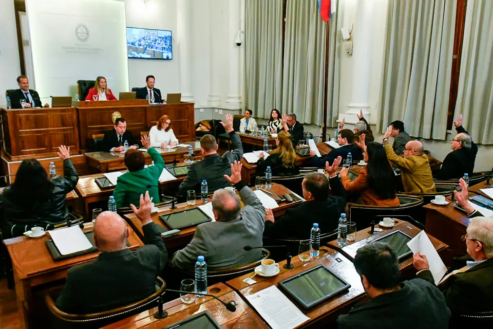 El Senado avanzó con un proyecto que busca defender las infancias