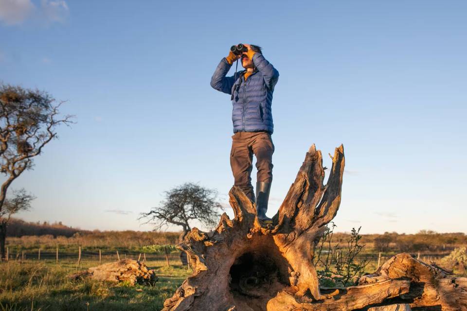 (En Entre Ríos) La Titina: la estancia que recibe huéspedes y tiene una reserva natural repleta de aves