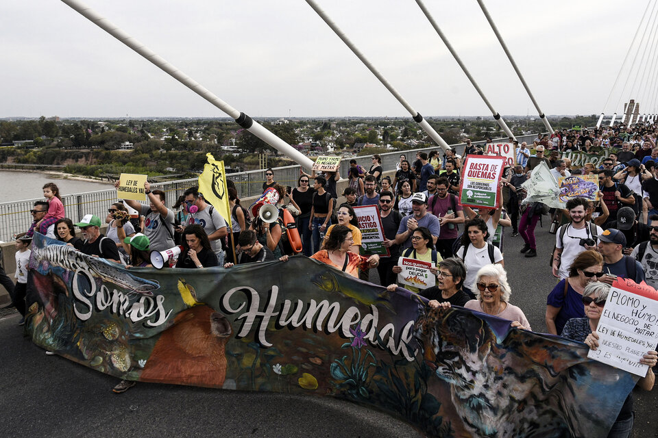 (Mención a Frigerio) La ley Bases contra los humedales