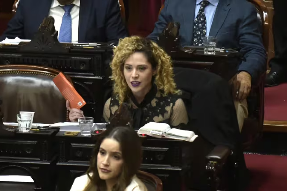 (Mención a diputado entrerriano) En plena tensión con LLA, Lourdes Arrieta publicó el proyecto de ley para dejar en libertad a represores