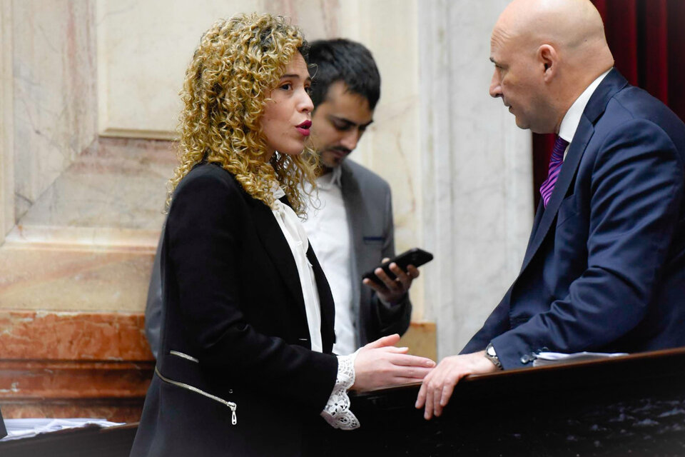 (Mención a diputado entrerriano) La Casa Rosada evalúa la expulsión de Lourdes Arrieta y Francisco Paoltroni de los bloques libertarios