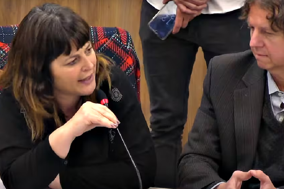 (Diputada entrerriana) La diputada Carolina Gaillard tuvo tensos momentos: la invitaron a irse y llamó a una colega “rubia teñida”