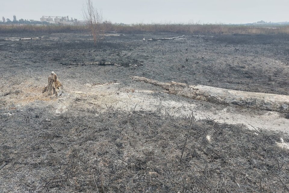 (Mención a Entre Ríos) Sería mejor llegar antes que el fuego