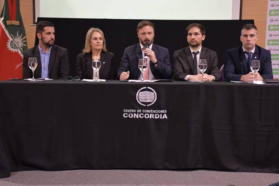 Una ciudad de Entre Ríos eliminará 300 impuestos y le pondrá tope a la tasa que se cobra en la factura de luz