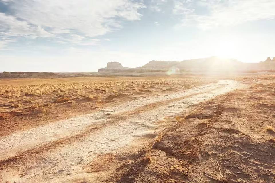 (Mención a Entre Ríos) Qué tan grave es la sequía que afecta a Sudamérica, según los expertos