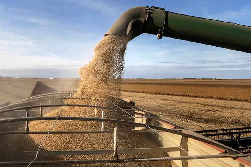 (Escribe Diputado entrerriano) Opinión: acerca del dólar soja, las medidas de apoyo del gobierno anterior y lo que ocurre con Milei