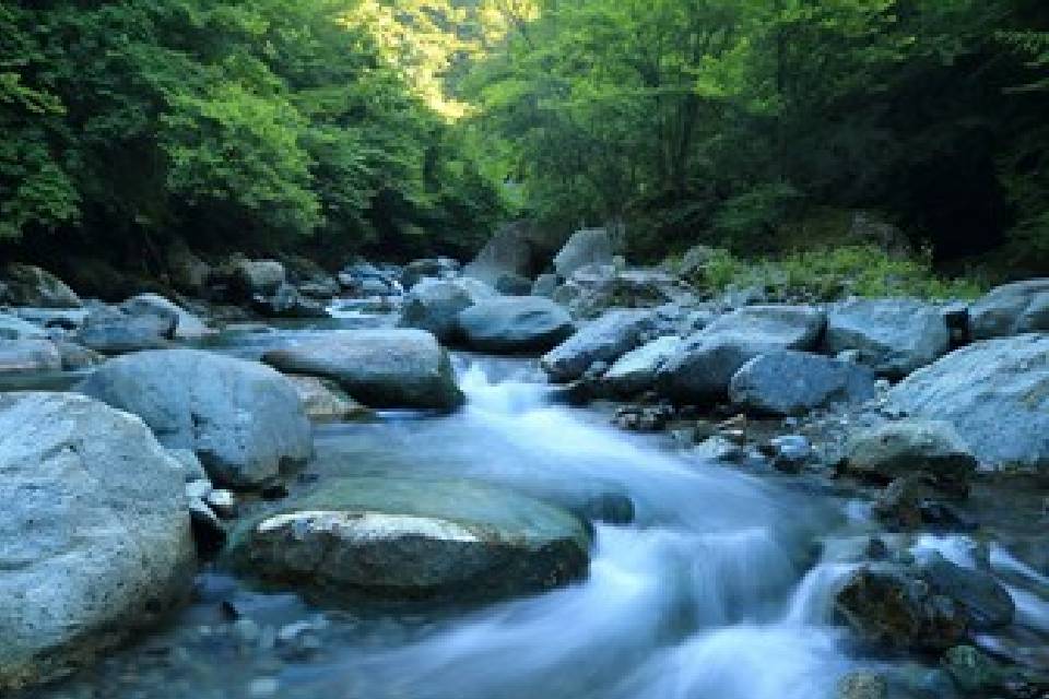 (Mención a Entre Ríos) Descubrí cuál es la provincia Argentina que tiene más ríos: cuántos son