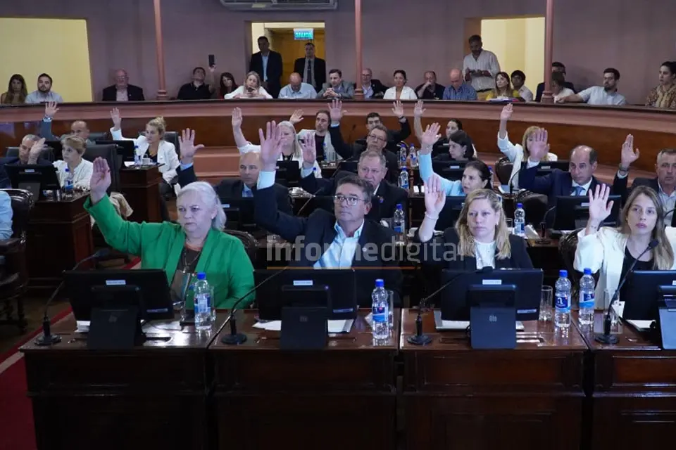 Obtuvo la media sanción en Diputados