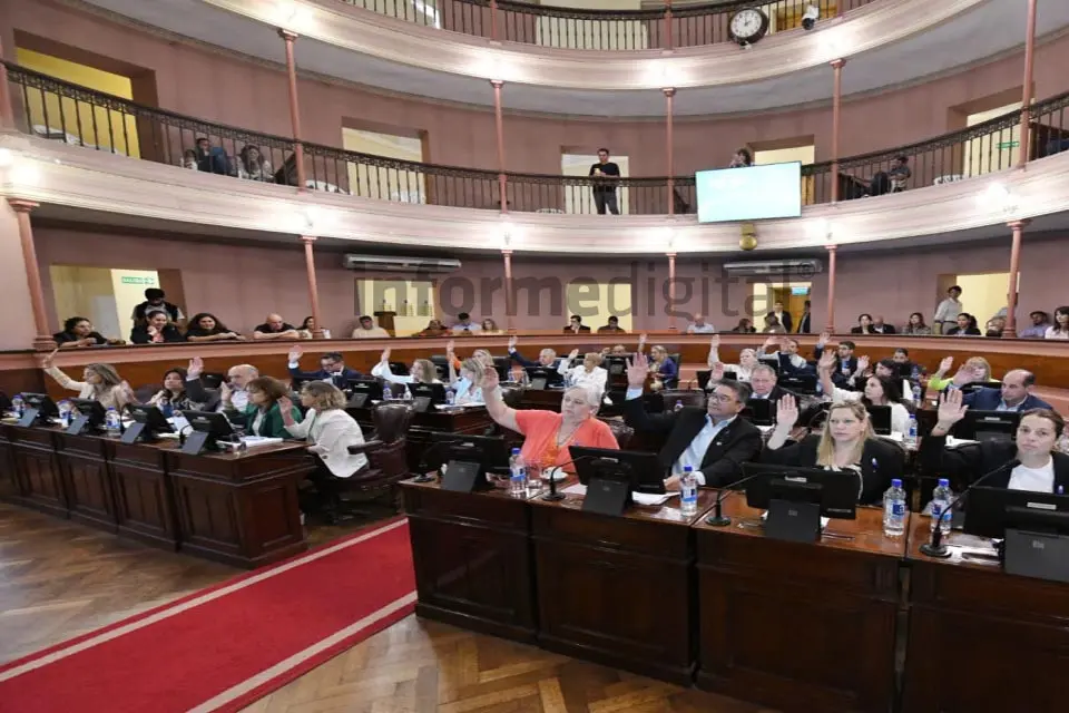Logró la media sanción en Diputados: números y polémica