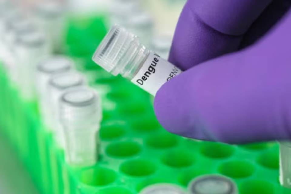 (Mención a Entre Ríos) Dengue en Argentina: cuáles son las 8 jurisdicciones que volvieron a registrar casos autóctonos