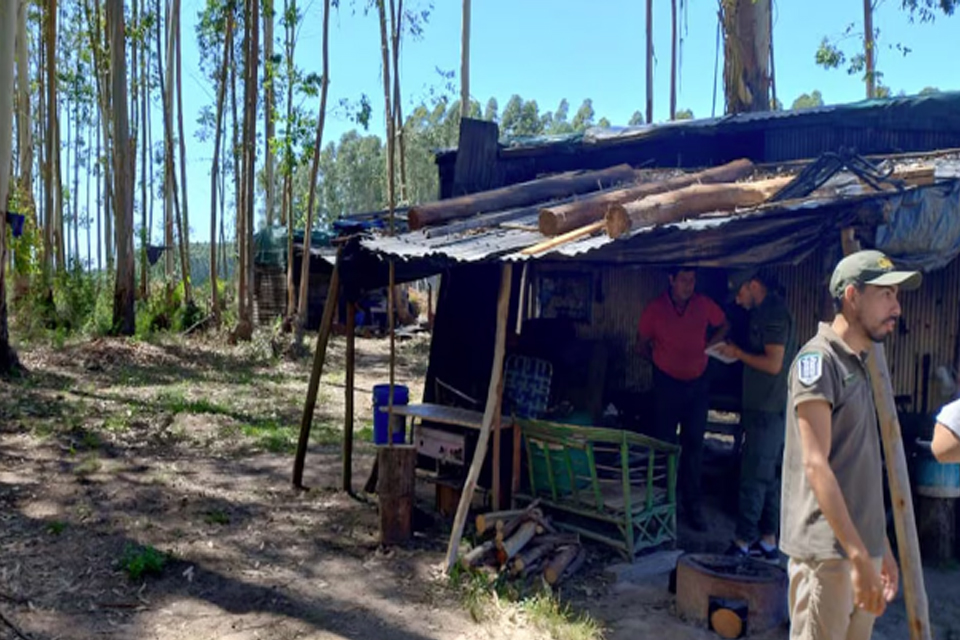 Rescataron a cuatro víctimas de trata en un campo en Entre Ríos: no tenían agua potable, baños ni electricidad
