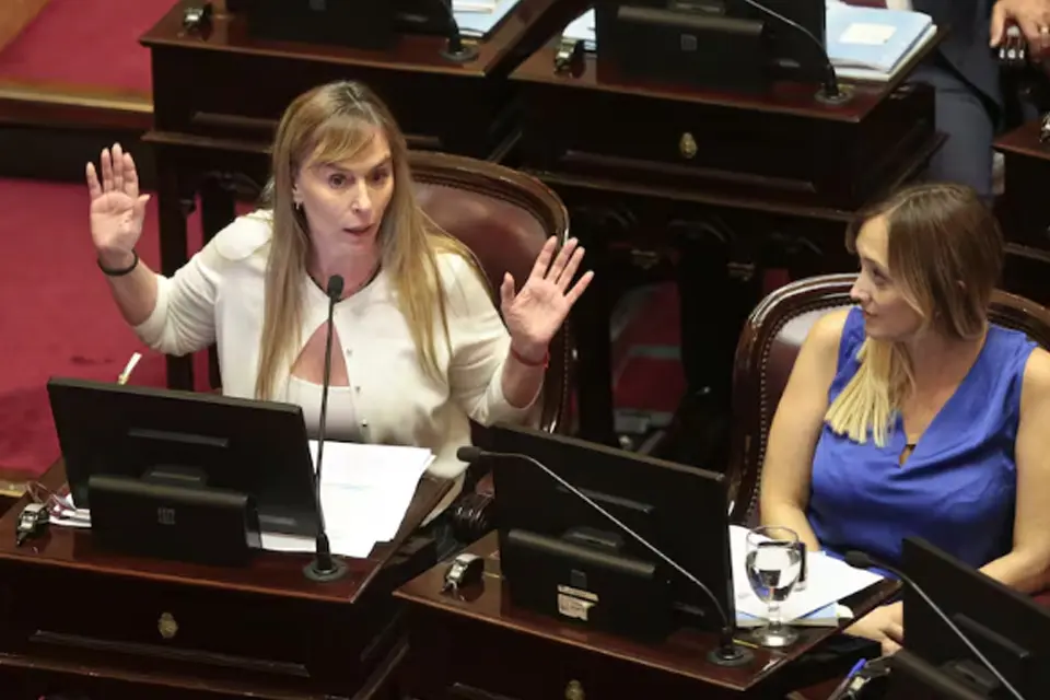 (Mención a senadores entrerrianos) Senado: por un voto, el Gobierno evitó la creación de una comisión investigadora del escándalo cripto