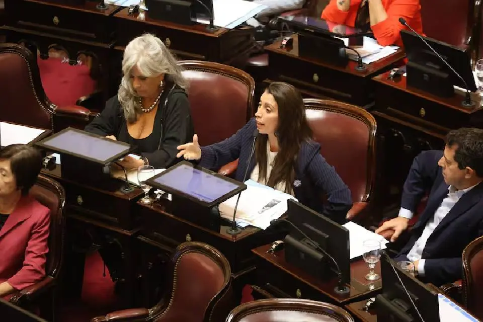 (Mención a jura entrerriana) Una senadora de UP adelantó cómo se posiciona el bloque frente a la candidatura de Ariel Lijo