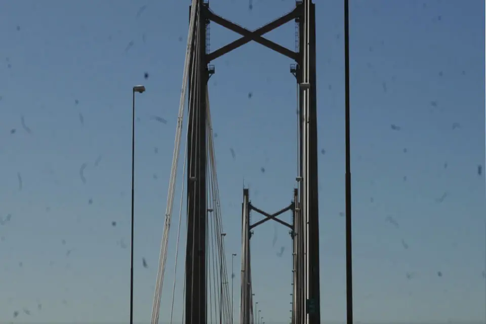 (Mención a Entre Ríos) El Estado se hace cargo de la Ruta del Mercosur y hay conflicto por la continuidad de 500 empleados