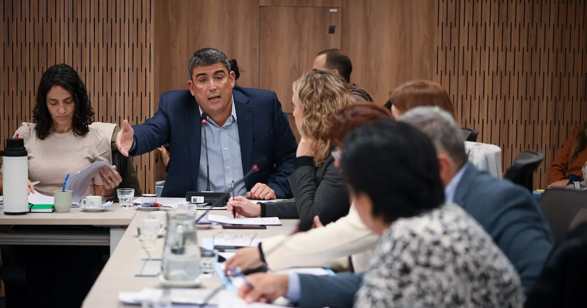 remoción de marisa graham como defensora del niño genera incertidumbre en el organismo