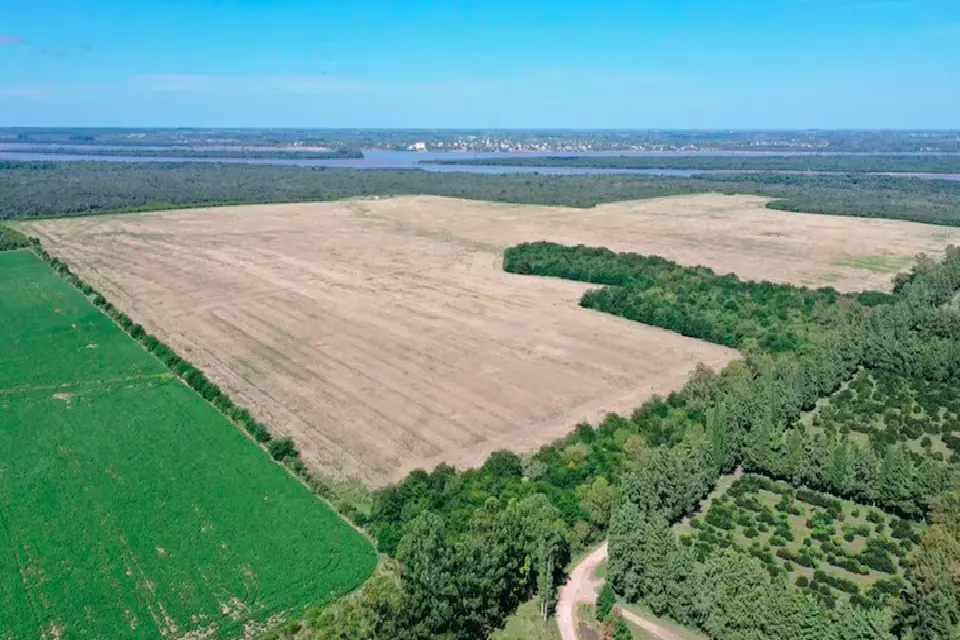 (Mención a Entre Ríos) Escala el conflicto con Uruguay por la instalación de una planta de hidrógeno verde