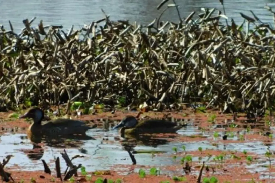 Entre Ríos incorporó dos nuevas reservas a su Sistema de Áreas Naturales Protegidas