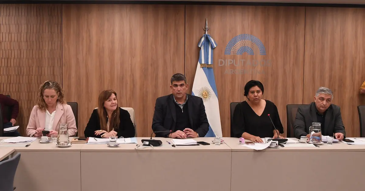 Defensoría del Niño: el PJ y la UCR activaron un “puente anti-acefalía” hasta que se realice el concurso
