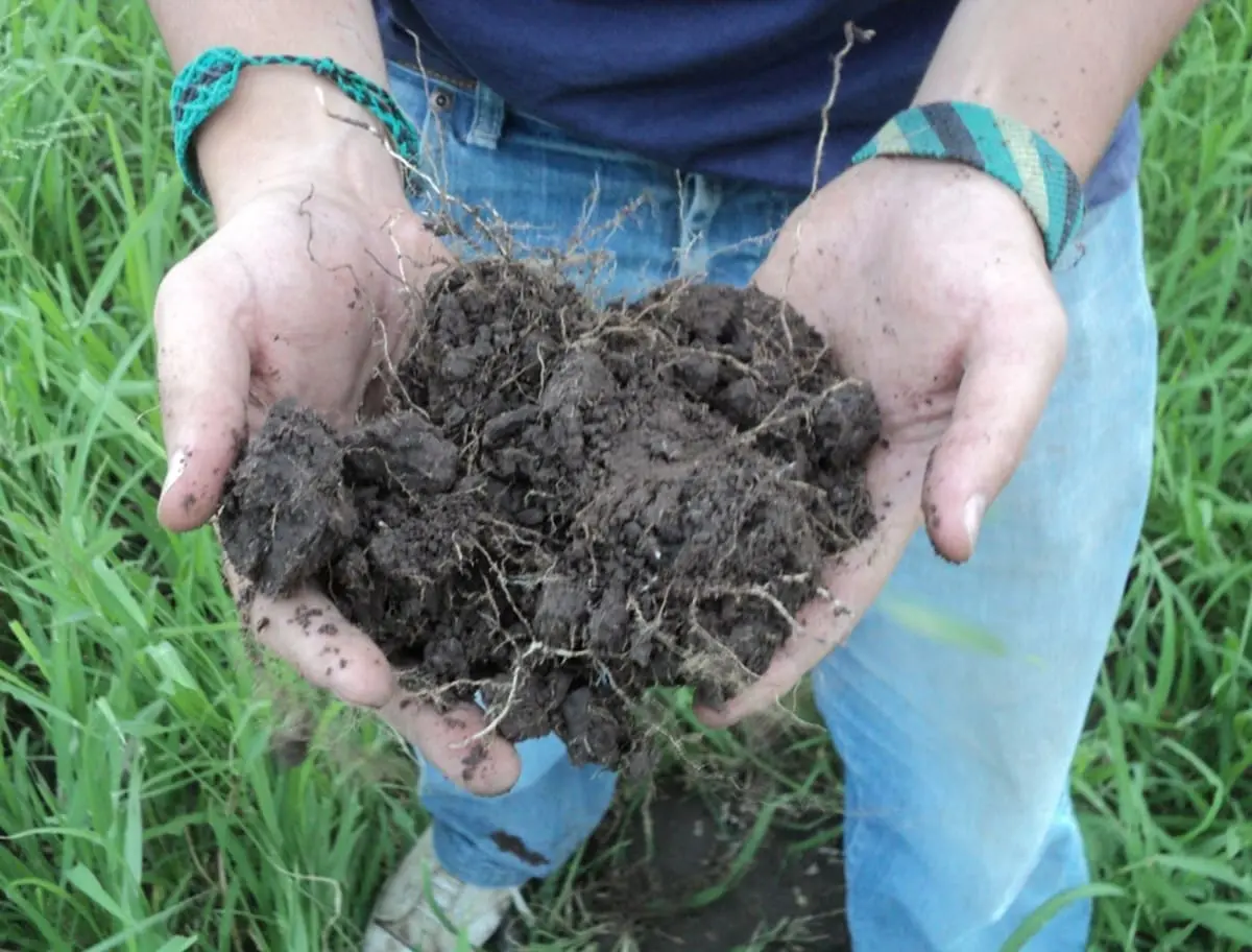 Cinco innovaciones tecnológicas en el campo argentino que evidencian la visión del INTA para el futuro agrícola