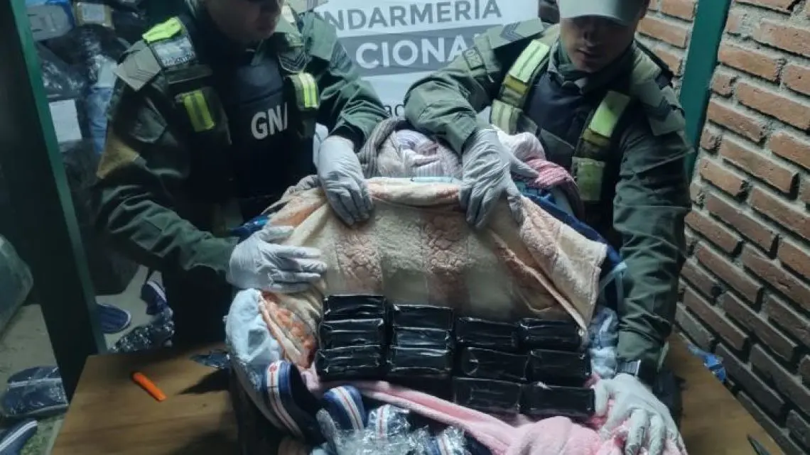 Reformas establecidas para Gendarmería, Prefectura, Policía de Seguridad Aeroportuaria y Servicio Penitenciario Federal