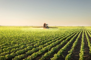 Productores presentan contundente documento ante la crítica situación del campo