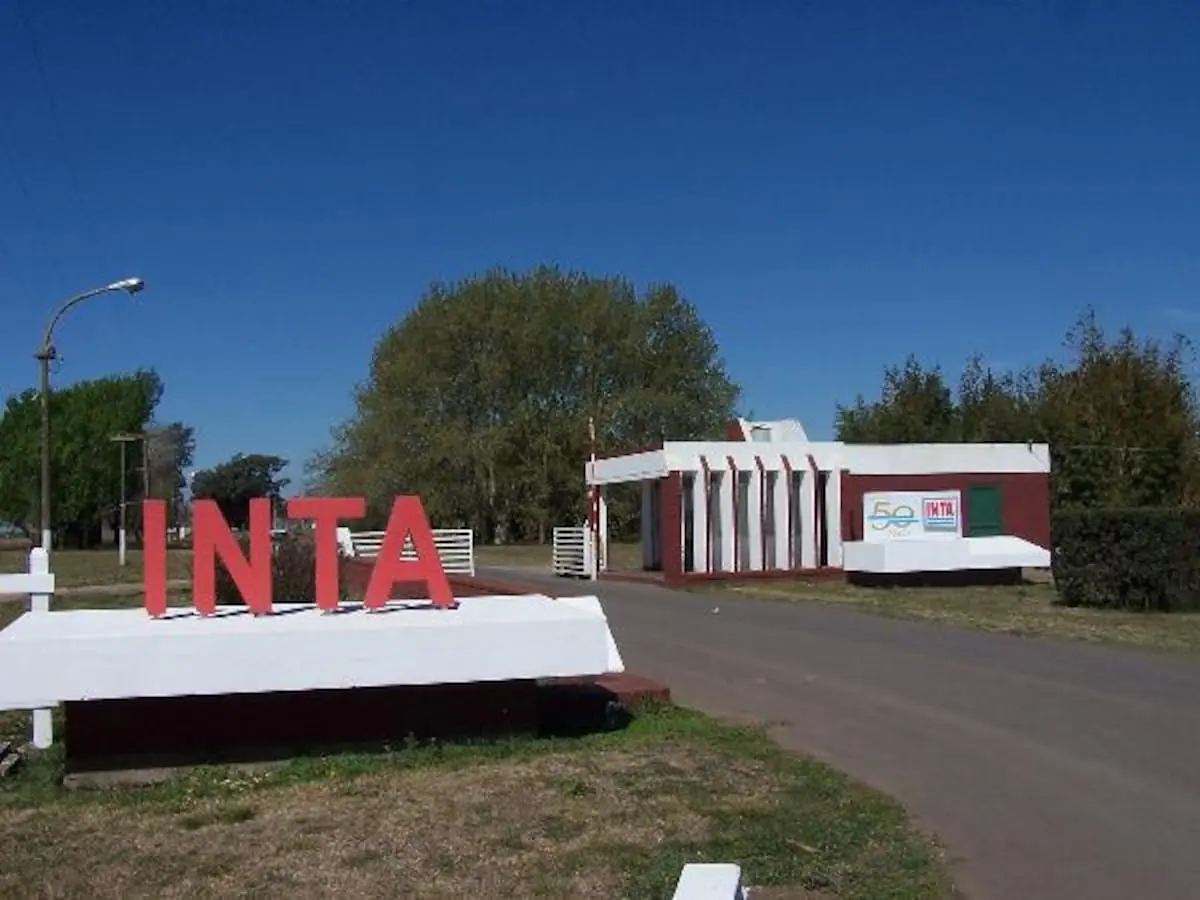 Gobierno analiza la venta de más de 40 mil hectáreas del INTA