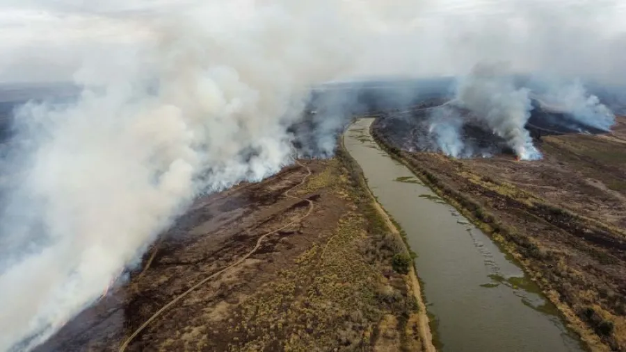 Causan indignación las condenas por incendiar el Delta: el fiscal destaca el fuerte mensaje para la comunidad